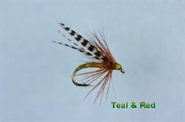 Teal and Red Spider